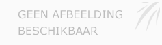 Afbeelding › Dutch Magic